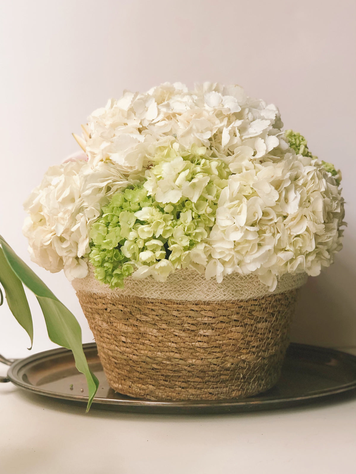 Savar Plant Bowl (Set of 3) - MalloryAndHolland