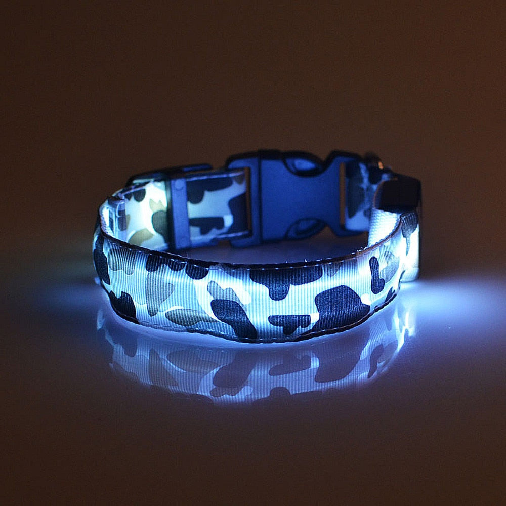 Camouflage Pet Luminous Dog Collar - MalloryAndHolland