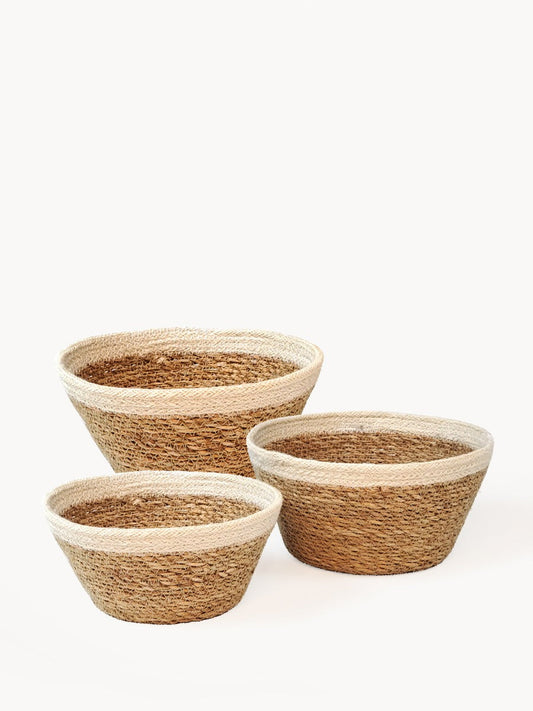 Savar Plant Bowl (Set of 3) - MalloryAndHolland