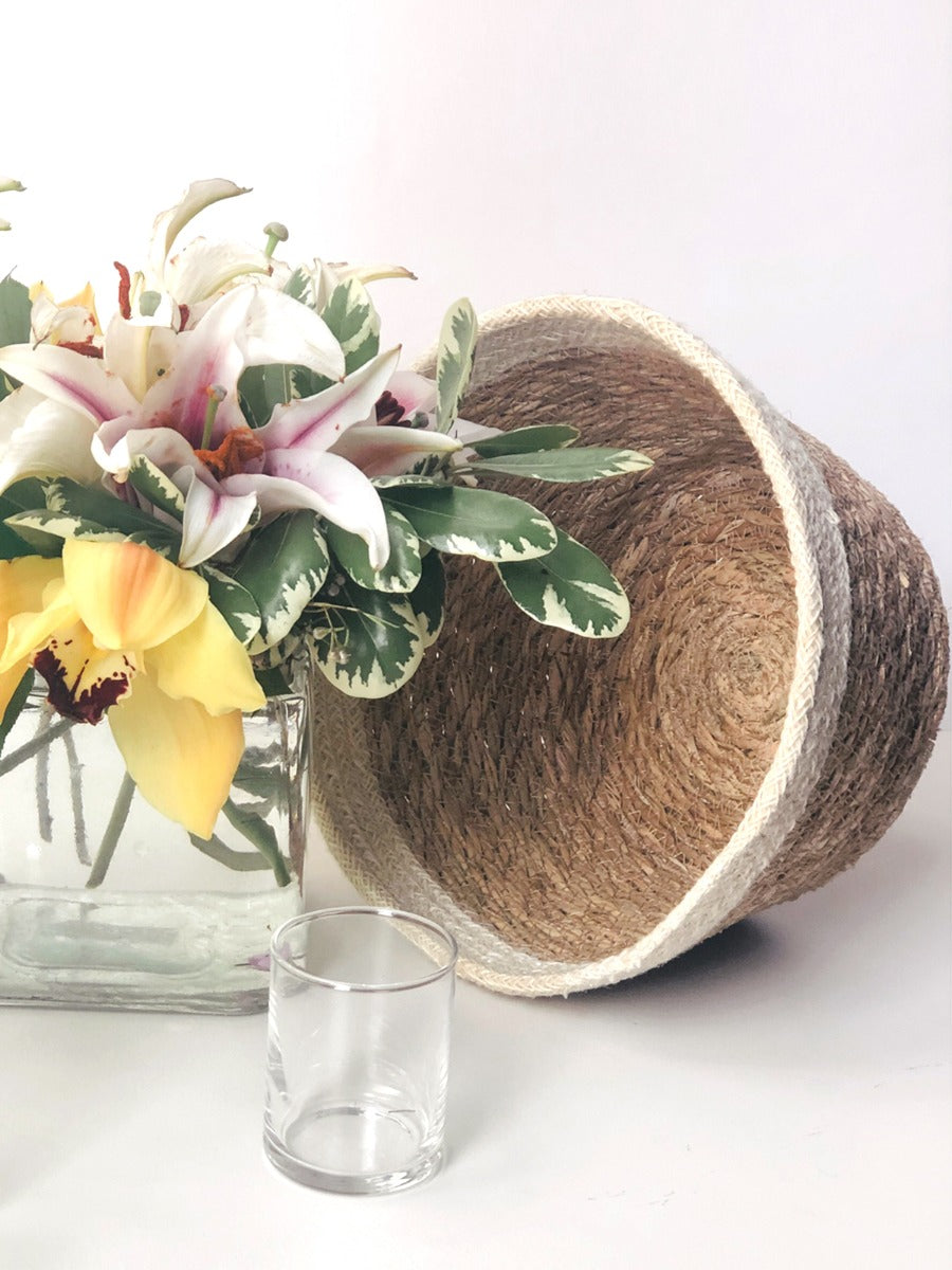 Savar Plant Bowl (Set of 3) - MalloryAndHolland