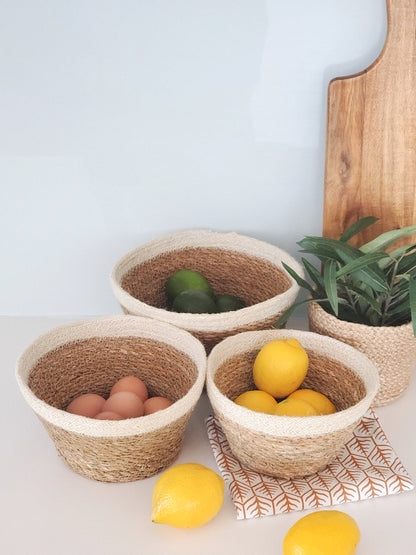 Savar Plant Bowl (Set of 3) - MalloryAndHolland