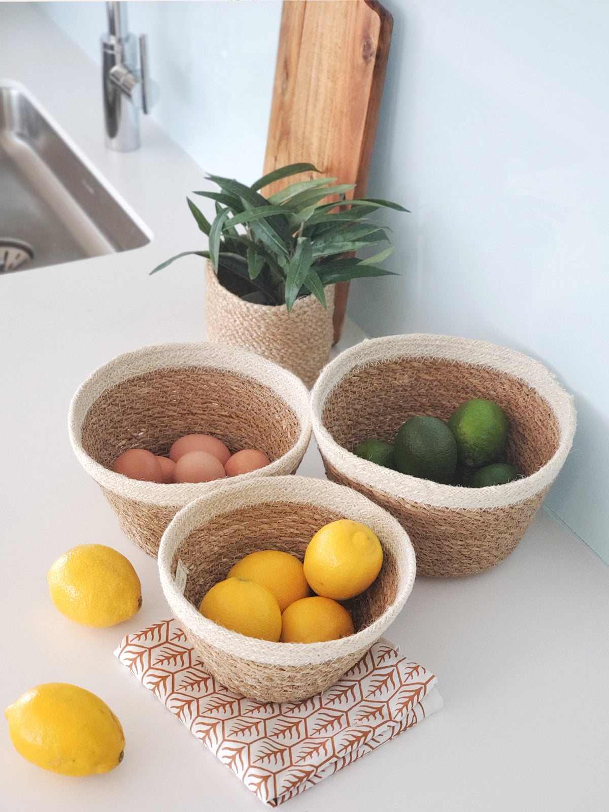 Savar Plant Bowl (Set of 3) - MalloryAndHolland